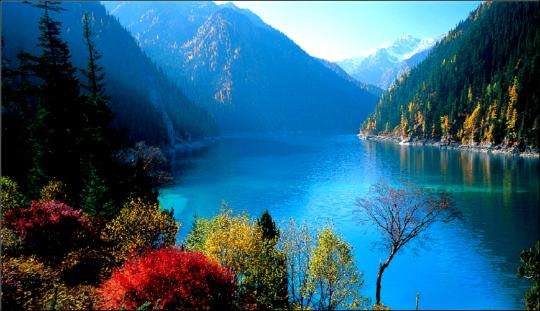 成都租車去九寨溝多少錢？